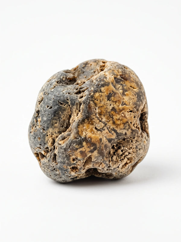 Ambergris