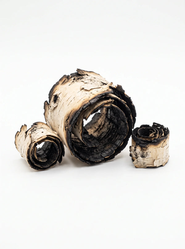 Birch Tar
