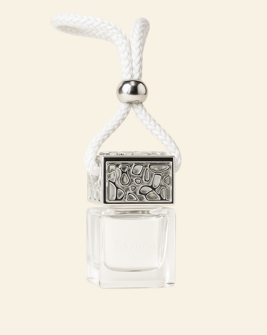 Car Perfumer Diffuser